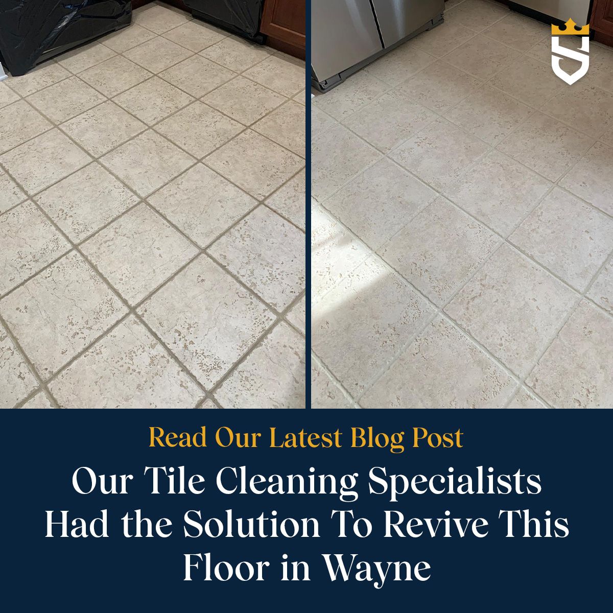 Our Tile Cleaning Specialists Had the Solution To Revive This Floor in Wayne